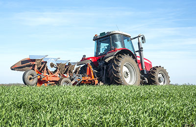 Settore agricolo